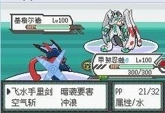 口袋妖怪究极绿宝石金手指
