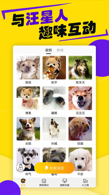 狗语翻译器