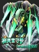 口袋妖怪 究极绿宝石4