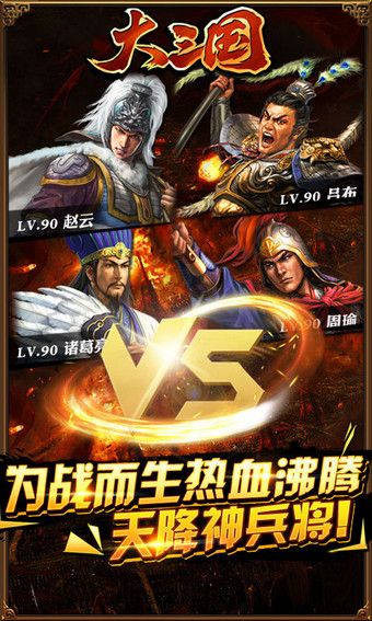 大三国单职业