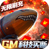 王牌战舰GM买断刷充版