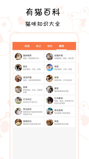 领喵(领养猫咪)