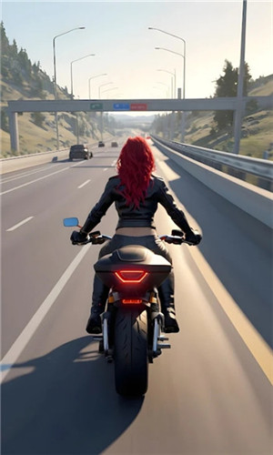 自行车公路赛车手(BikeHighwayRacer)