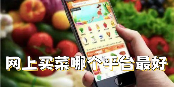 网上买菜哪个平台最好 