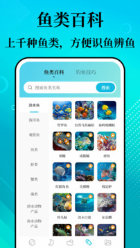 潮汐精灵
