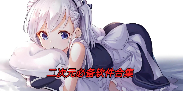 二次元必备软件合集