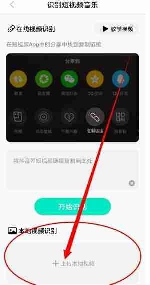 Q音探歌