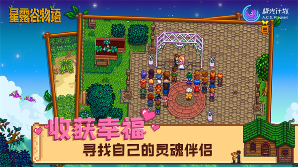 星露谷物语完美版