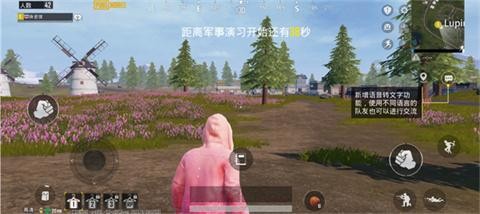 和平精英国际服