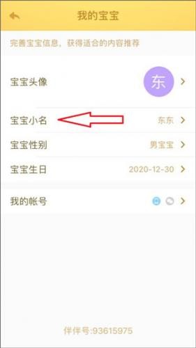 小伴龙