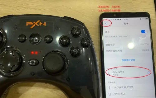 小鸡模拟器TV版