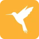 Reqable手机版