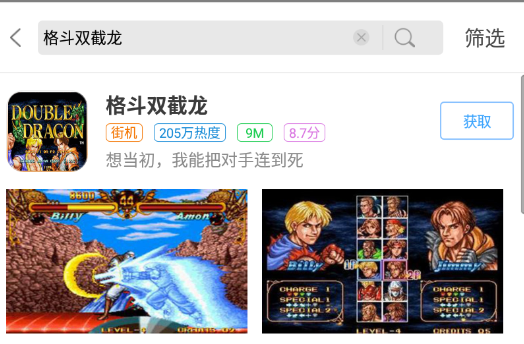 格斗双截龙游戏单机