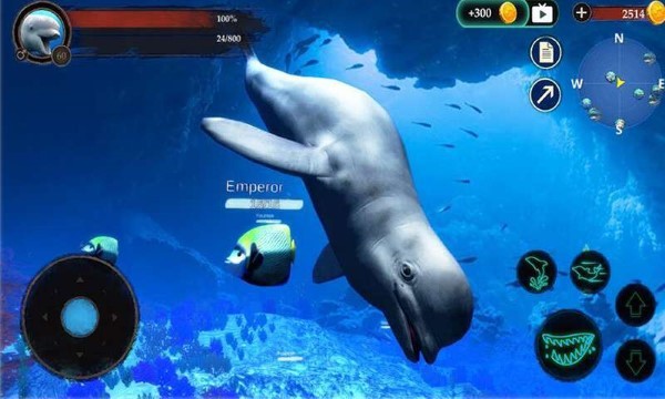 海洋大捕杀最新版