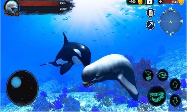海洋大捕杀最新版