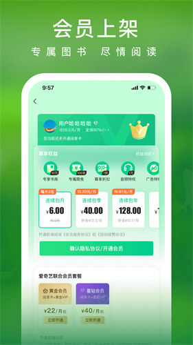 爱奇艺文学小说