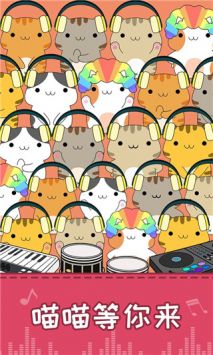 节奏猫咪打块版
