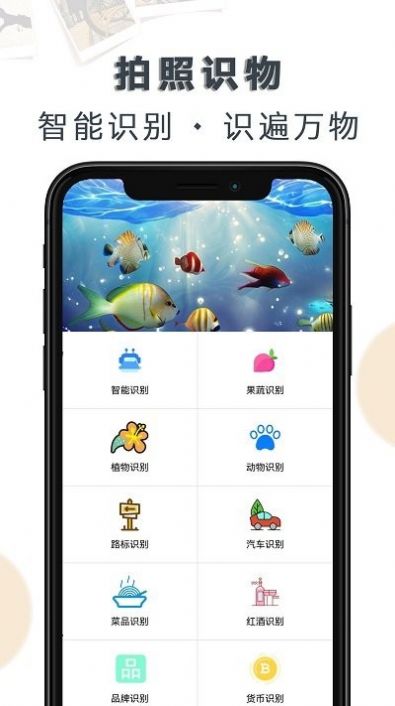 豆拍拍照识物app